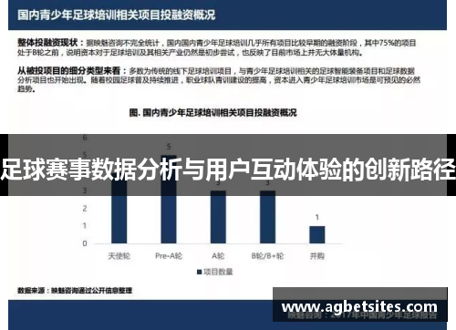足球赛事数据分析与用户互动体验的创新路径